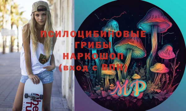 PSILOCYBIN Заволжье