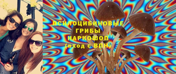 PSILOCYBIN Заволжье