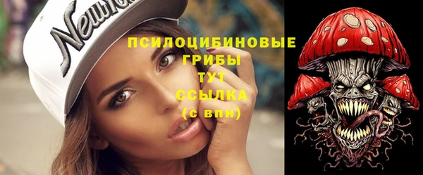 скорость Заводоуковск