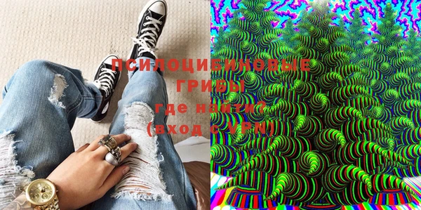 PSILOCYBIN Заволжье