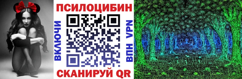 Псилоцибиновые грибы мицелий  Купить закладки  Шагонар 